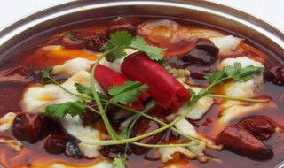 乌江鱼切片技巧 乌江鱼切片的方法