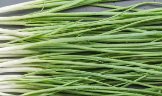 割小葱方法 这样割葱容易再生