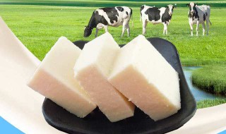 鲜奶豆腐如何做 如何做牛奶豆腐