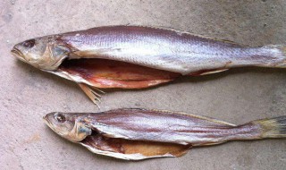 怎样做三牙鱼 三牙鱼做法简述