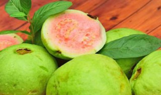 芭乐果怎样做果盘 芭乐果果盘的做法