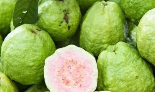 酸甜番石榴如何做 酸甜番石榴的做法