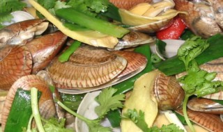 如何做贝壳炒蛋 huajia炒蛋的做法