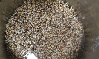 包青粿的做法 这样做的青稞最好吃