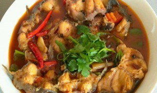 卤鲶鱼的做法 卤鲶鱼的家常做法