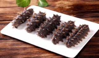 单只海参做法 海参怎么好吃