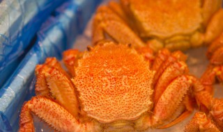 冷冻螃蟹处理步骤 解冻方法多种多样