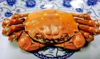 螃蟹清蒸的怎么弄 清蒸螃蟹的做法