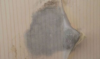 纸受潮发霉怎么处理 一般纸受潮发霉处理方法介绍