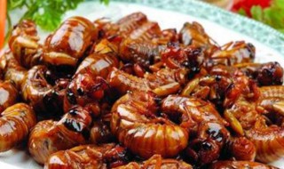 开心蝉蛹做法 开心蝉蛹做法介绍