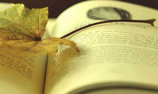 关于蝉的古诗 关于蝉的古诗推荐