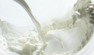 牛奶能浇花吗 牛奶能不能浇花