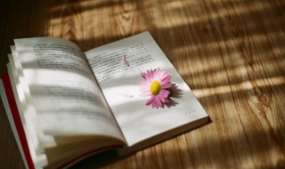 关于正义的名言 关于正义的话