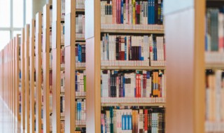 分门别类的意思 分门别类的用法