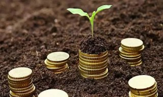 基金回撤是什么意思 怎样理解基金回撤