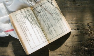 然在文言文中的意思 然在文言文中的解释