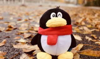 关于姐弟情深的说说 关于姐弟情深的说说有哪些