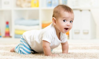 早教是什么意思 早教的意思