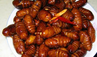 炸蚕蛹的做法 炸蚕蛹怎么做