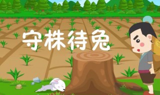 守株待兔的故事原文 守株待兔故事介绍