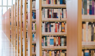 只道是寻常是什么意思 只道是寻常原文及翻译