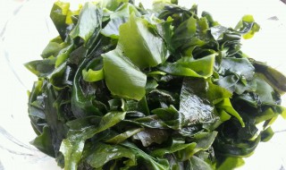 裙带菜营养功效与作用 裙带菜营养功效与作用有哪些