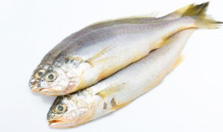 怎么做泡椒黄骨鱼 制作泡椒黄骨鱼的方法