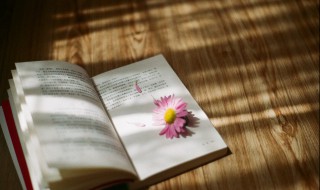 长夜未央什么意思 长夜未央的解释