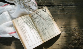 八十天环游地球主要内容 八十天环游地球介绍