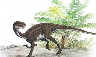 恐龙的资料小学生用的 恐龙的资料介绍小学生