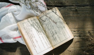 把酒言欢的意思 把酒言欢的出处及原文