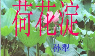 荷花淀作者 荷花淀作者是谁