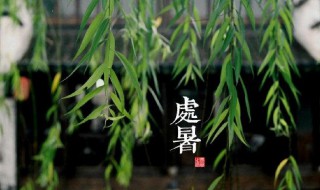 处暑海报文案 处暑个性海报