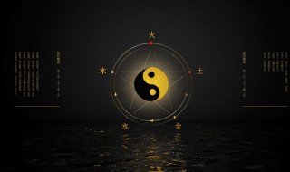 文五行属什么 文五行介绍