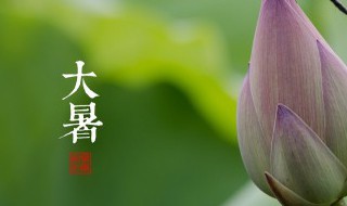 大暑节气故事 大暑节气的故事