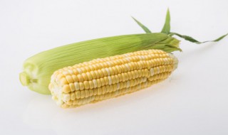 干玉米怎样储存 如何保存玉米