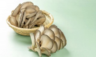 野生菌怎样储存 野生菌储存方法