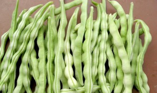 豇豆怎样储存 豇豆储存方法