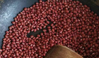 红豆怎样储存 红豆如何储存