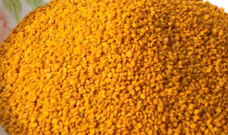 花粉怎样储存 花粉保存方法