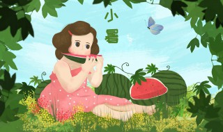 小暑的诗词 关于小暑的诗词精选