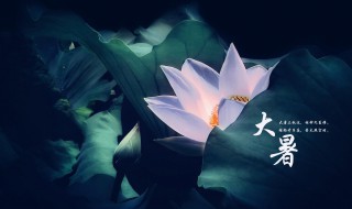 大暑节气简介 大暑节气适合喝什么粥