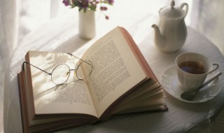 冯至代表作 冯至的作品简介