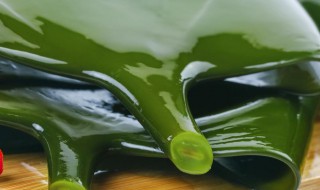 裙带菜和海带什么区别 裙带菜和海带的不同