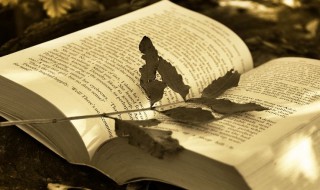 产业什么意思 产业解释