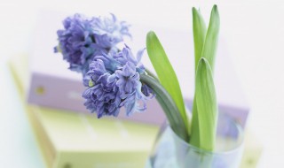 一拍两散是什么意思 一拍两散的解释