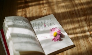 顺理成章是什么意思 顺理成章的含义