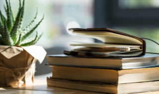 不以为然中的然的意思 不以为然的释义