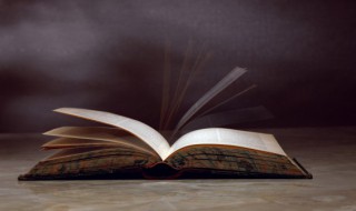 不二法门什么意思 不二法门的意思