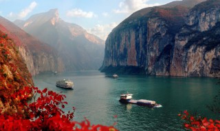 决眦入归鸟的意思 决眦入归鸟的出处